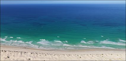 Whales - Head of Bight - SA T (PBH3 00 28937)